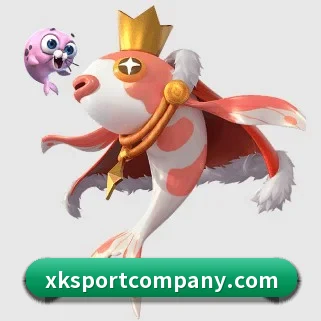 星空足球 APP | xingkong